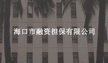 ?？谑腥谫Y擔保有限公司