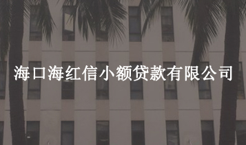 ?？诤＜t信小額貸款有限公司